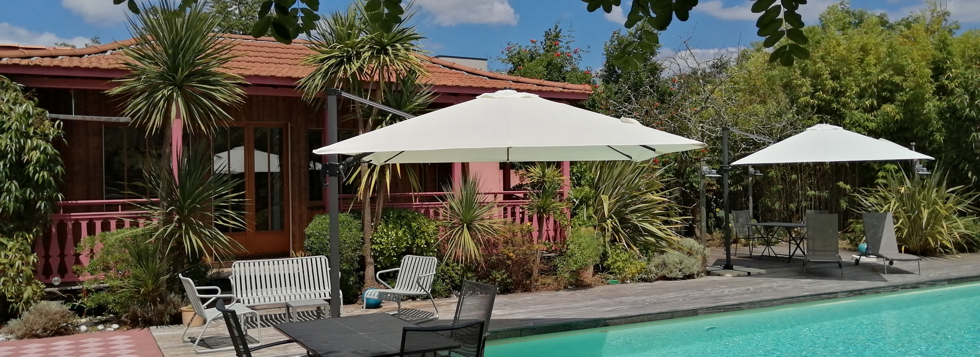 Création d’ambiance végétale apaisante pour cabinet professionnel à Libourne