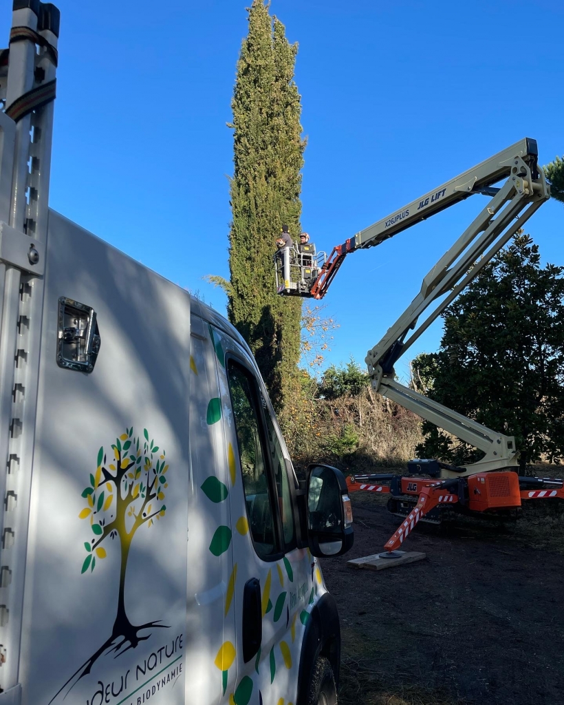 Entretien expert de jardin contemporain avec vivaces et arbustes d’ornement