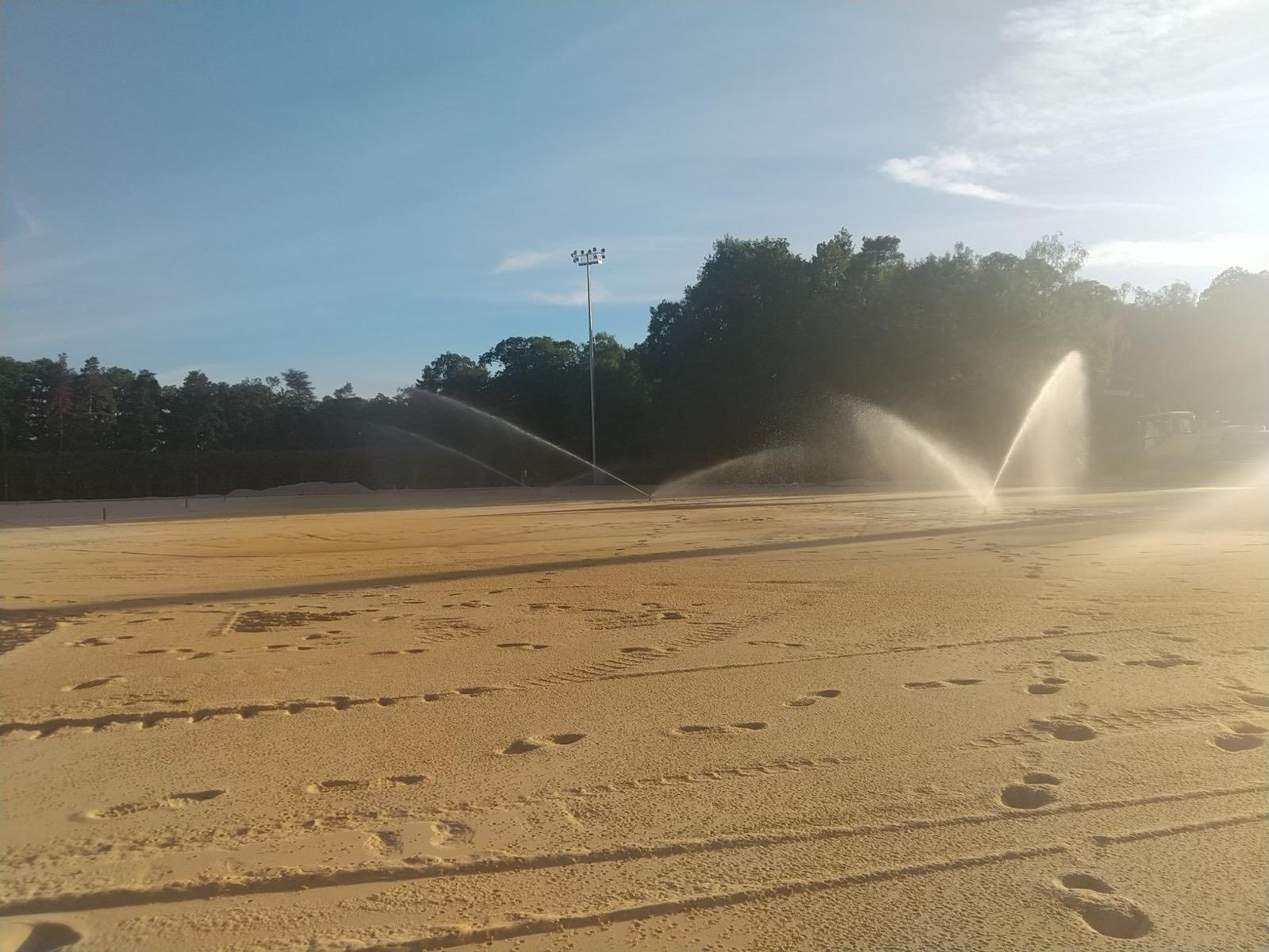 Végétalisation intérieure et aménagement événementiel par paysagiste