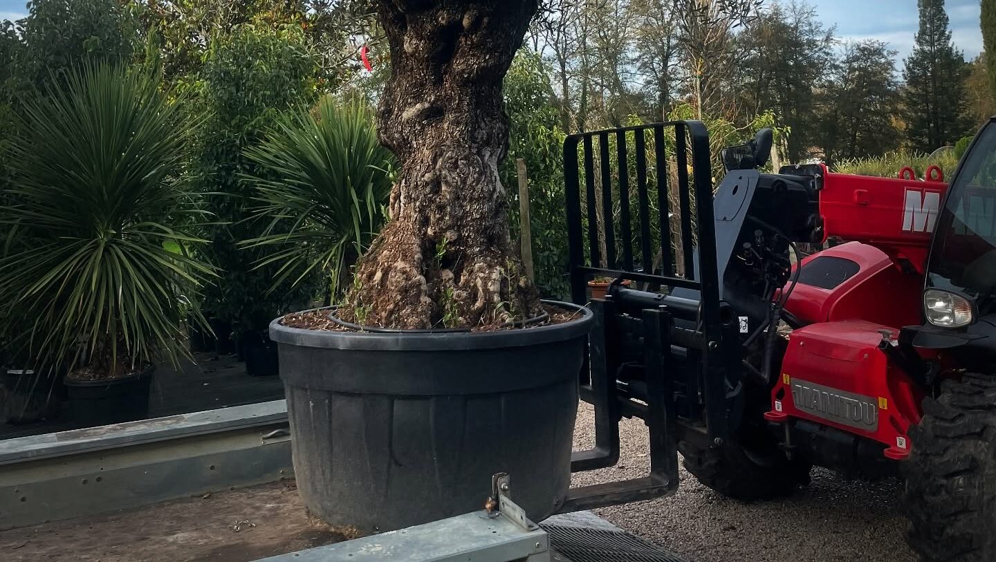 Coordination de travaux extérieurs pour équipement communal en Gironde