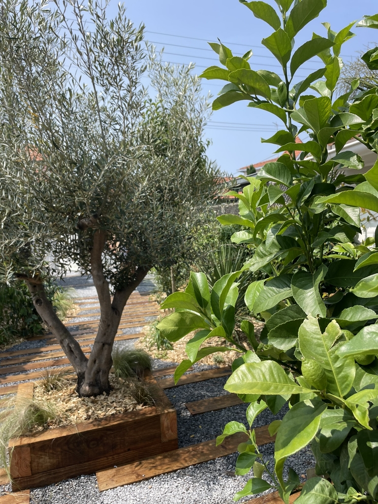 Aménagement paysager structuré avec cheminement en pierre naturelle près de Libourne