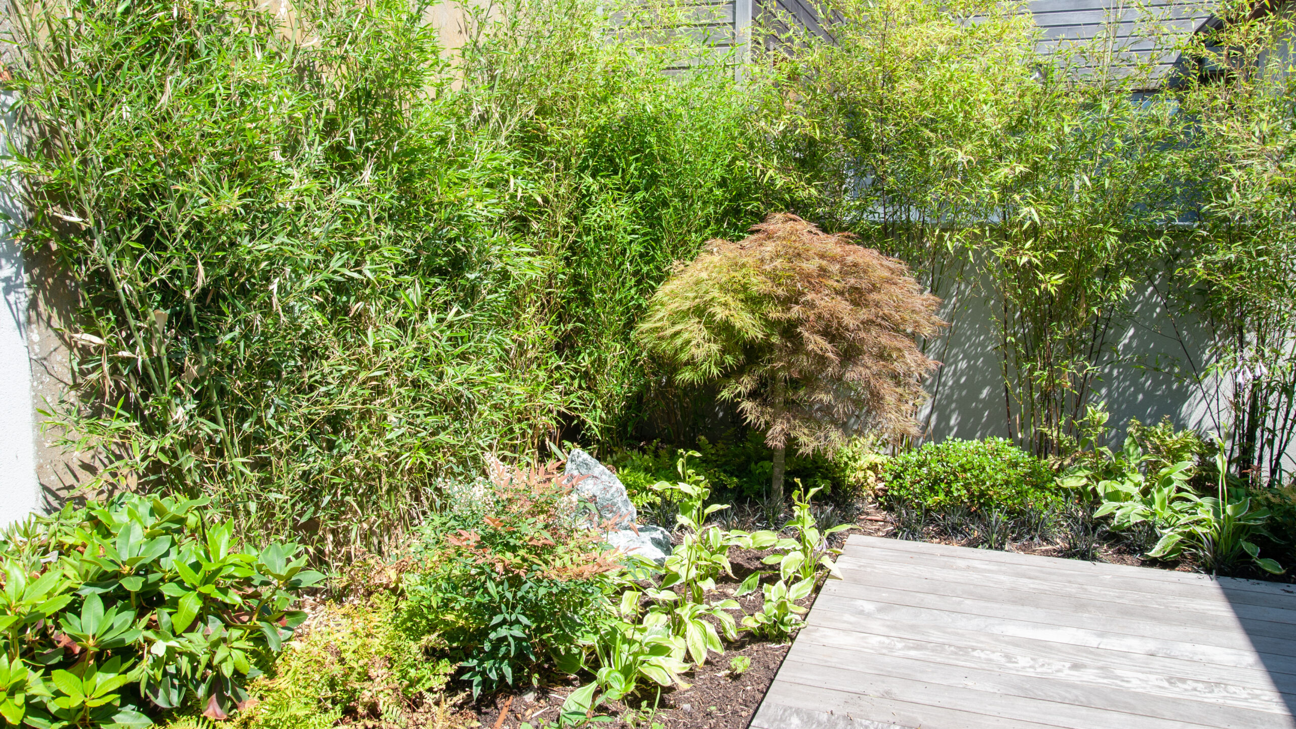 Palette végétale méditerranéenne adaptée au climat de Gironde