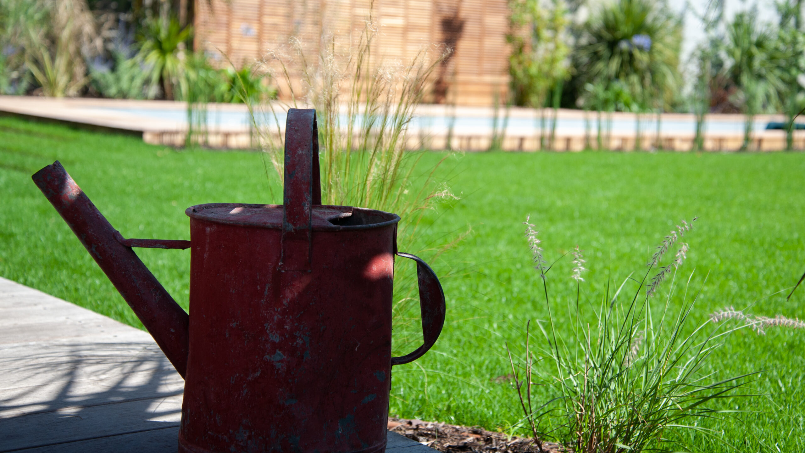 Végétalisation intérieure sur mesure pour bureaux et lieux professionnels en Gironde
