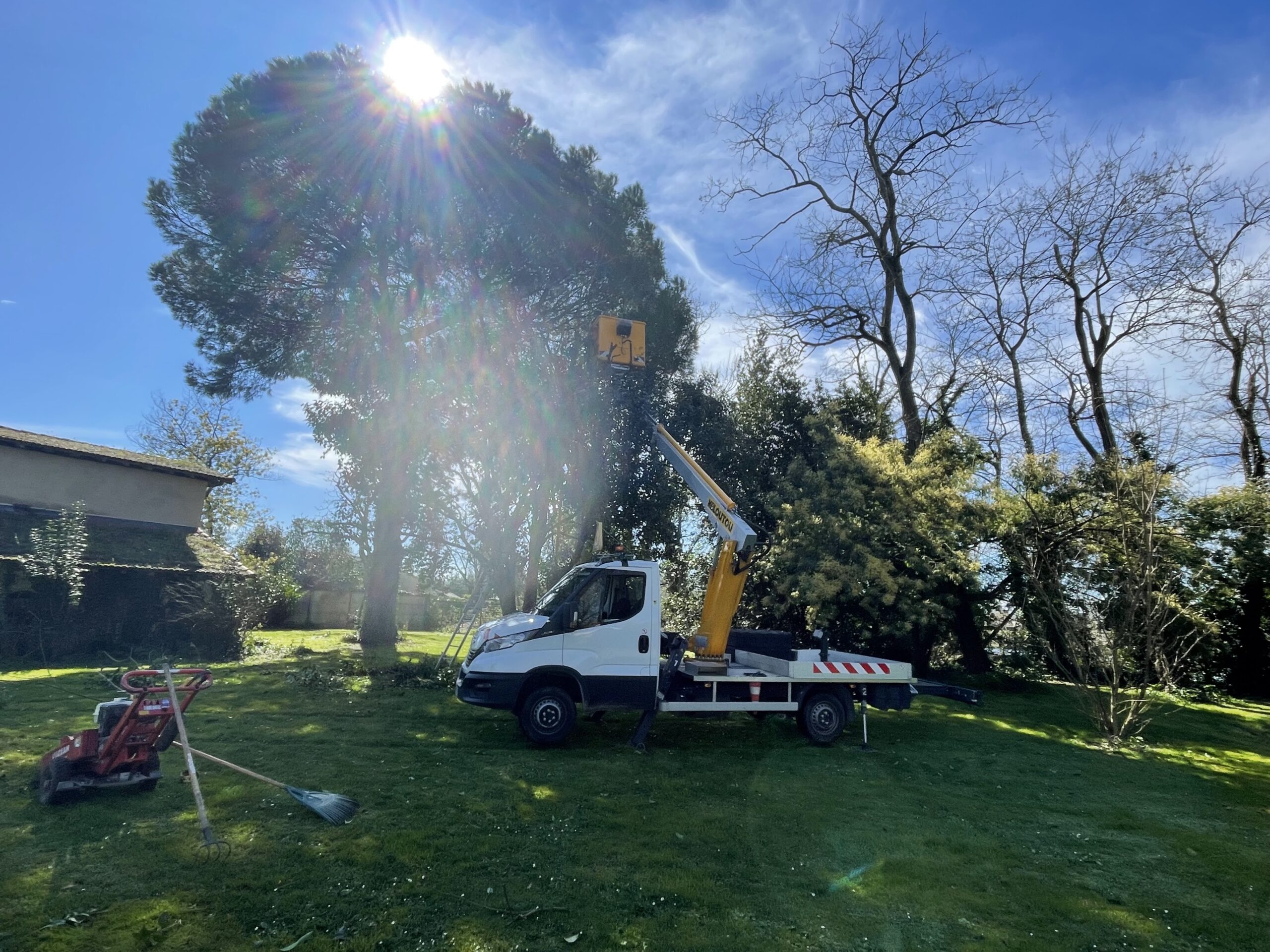 Rééquilibrage végétal et restructuration de massif paysager près de Bordeaux