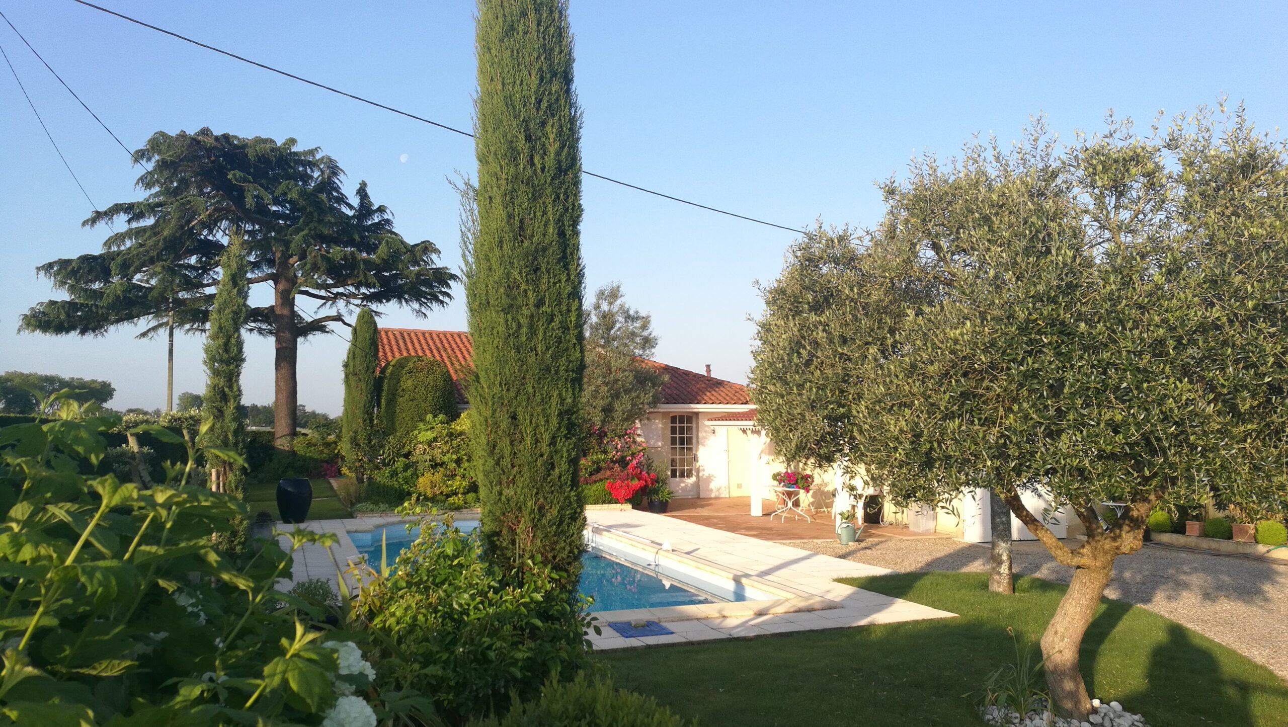 Plantation de grands sujets pour structurer un jardin résidentiel en Nouvelle-Aquitaine