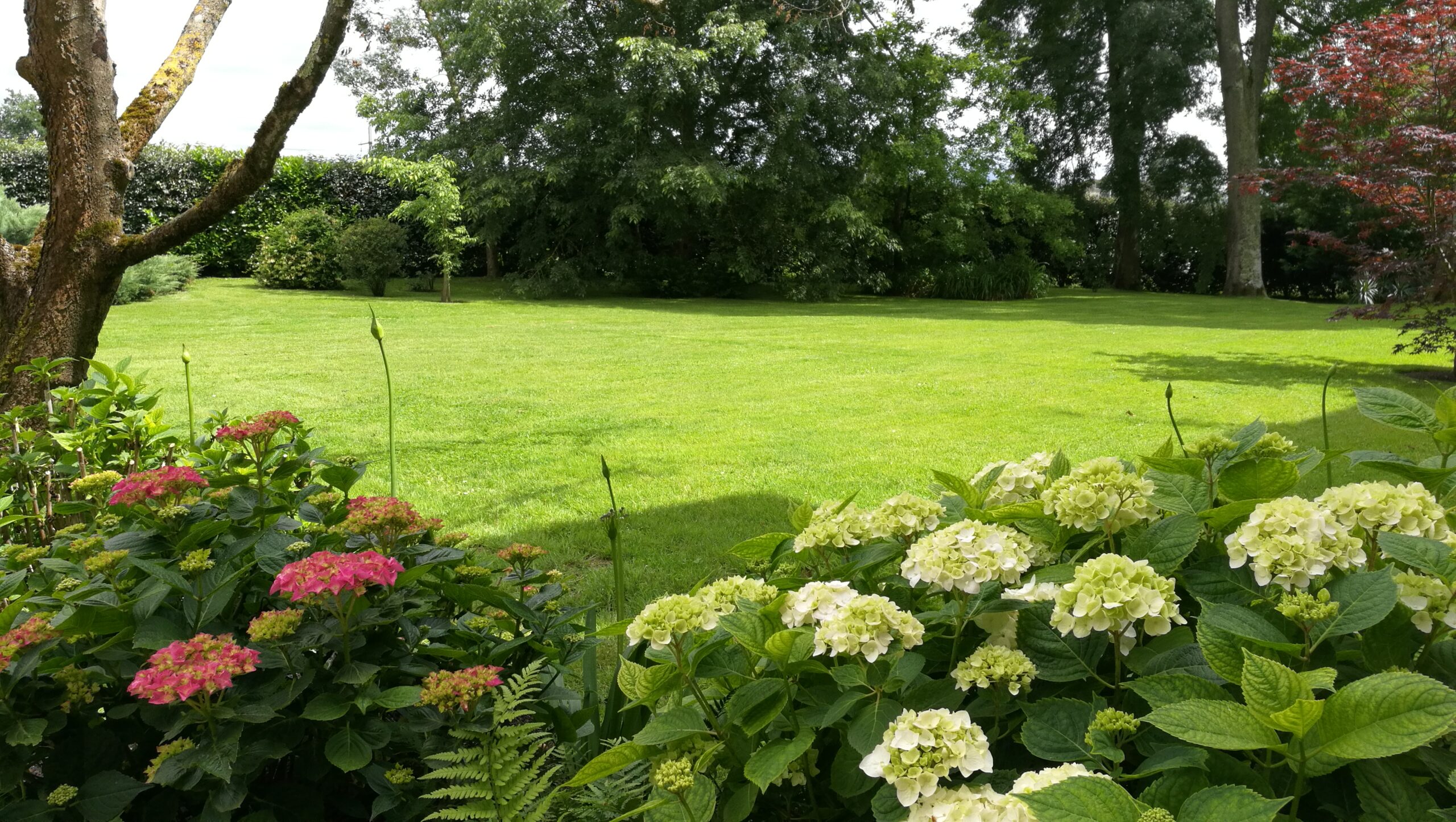Aménagement paysager premium en Gironde — jardin structuré avec terrasse et plantations durables