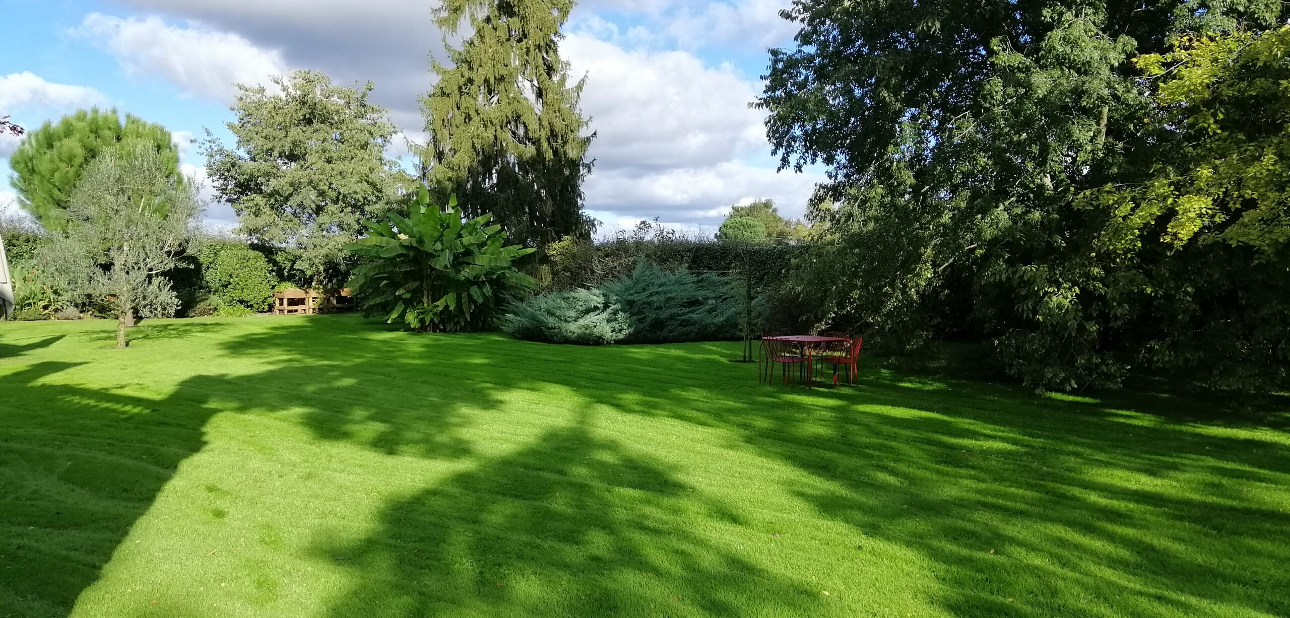 Entretien paysager premium d’un jardin contemporain en Gironde – Grandeur Nature