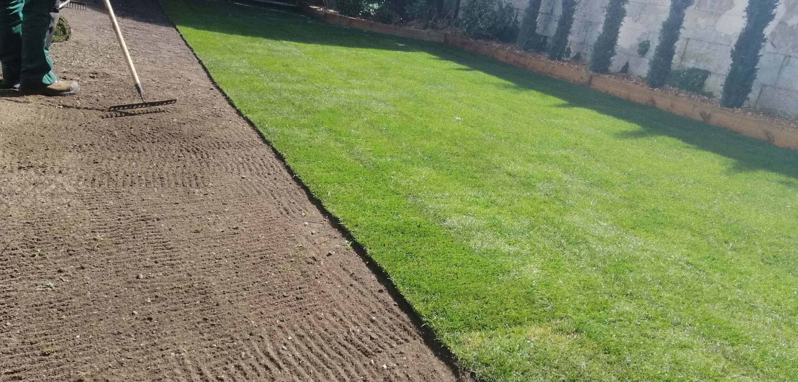 Conception de jardin moderne avec intégration de bois et minéral