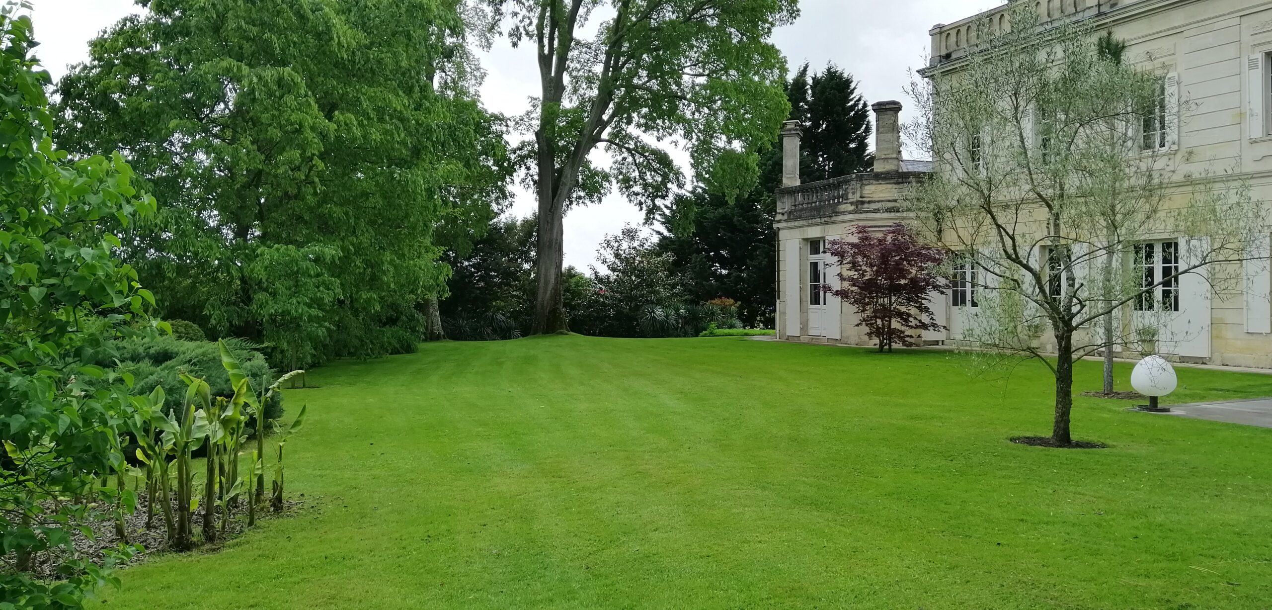 Entretien paysager premium et suivi technique de jardin en Gironde