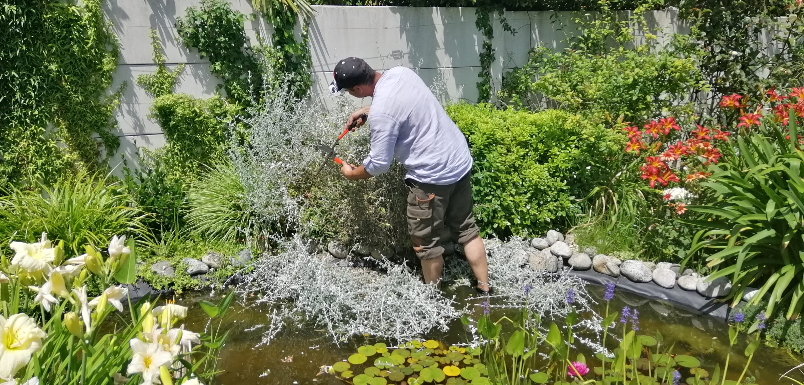 Taille raisonnée d’arbres et grands sujets dans propriété en Gironde