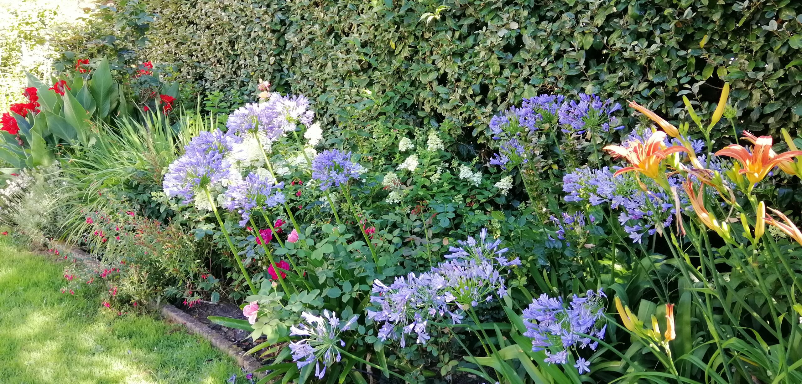 Maintenance de massifs paysagers avec taille douce et respect du végétal en Gironde