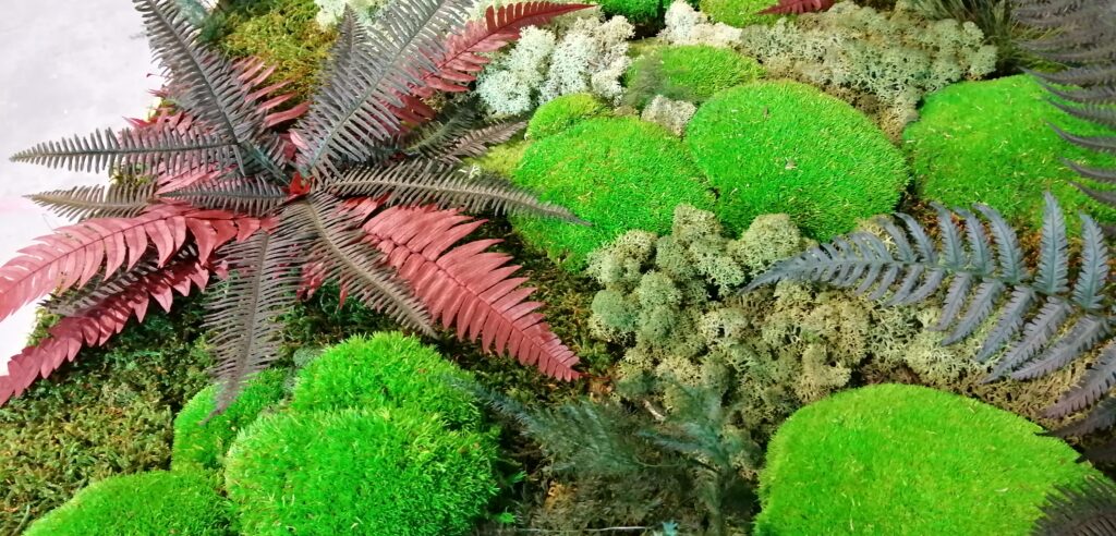 Cadres végétalisés, mur végétalis, végétaux stabilisés, événementiel, réception, location de plantes à bordeaux et Saint-emilion, mariage et professionnels - Grandeur Nature, faire pousser ses idées