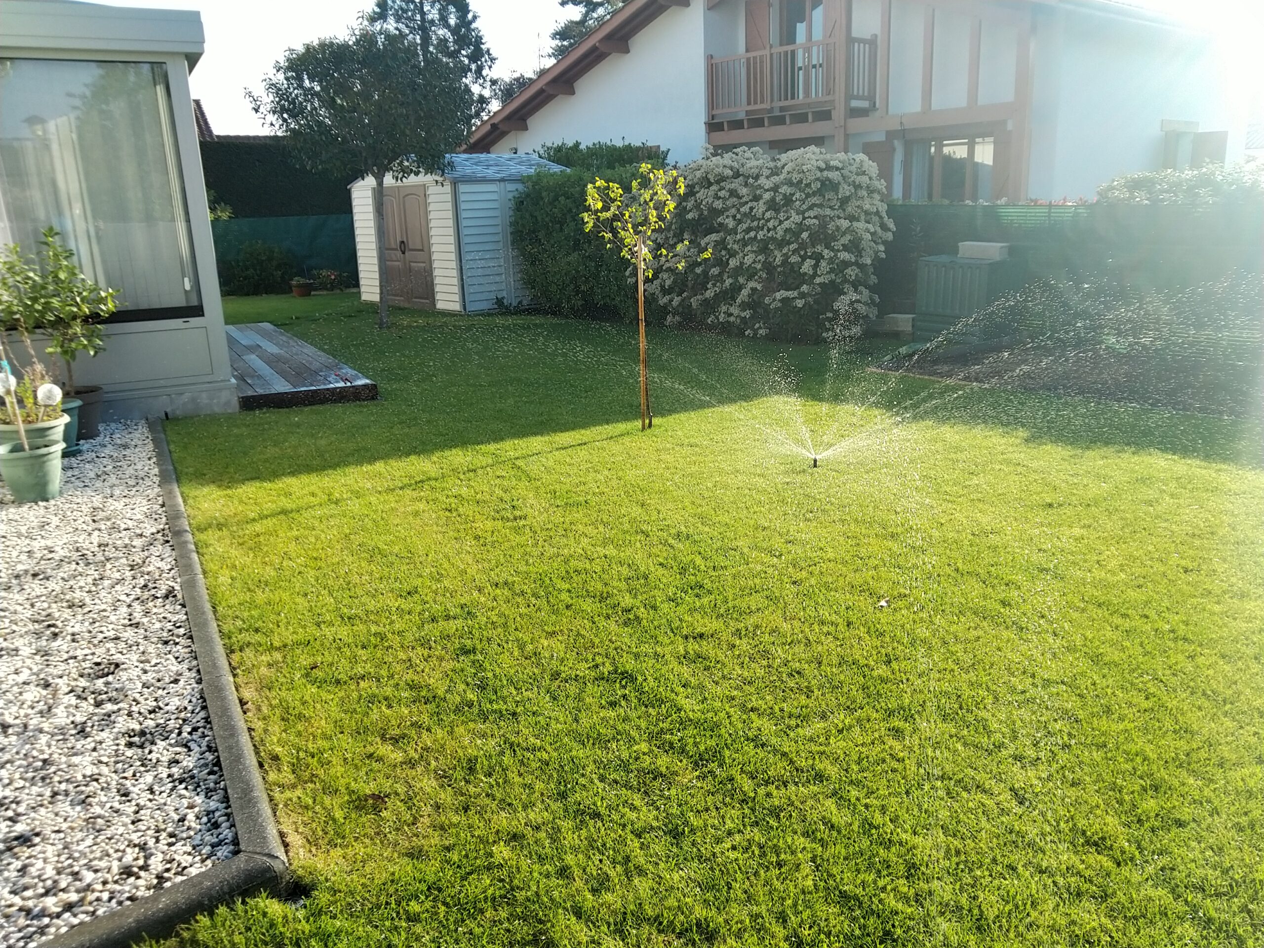 Système d’irrigation goutte-à-goutte installé dans massif paysager méditerranéen