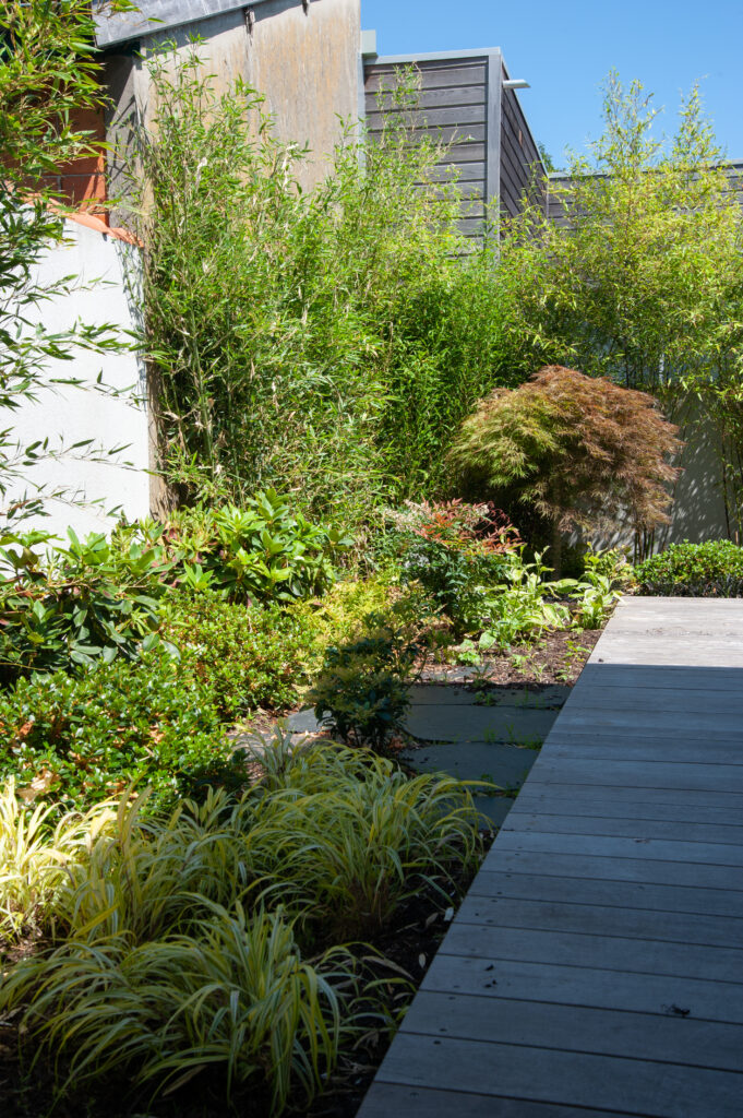 Massif paysager, ambiance végétale