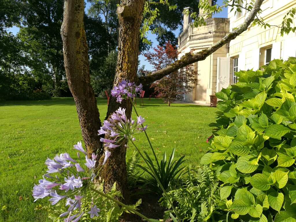 Tonte saisonnière, suivi écologique et végétalisation d'espaces verts à Bordeaux - Grandeur Nature paysagiste