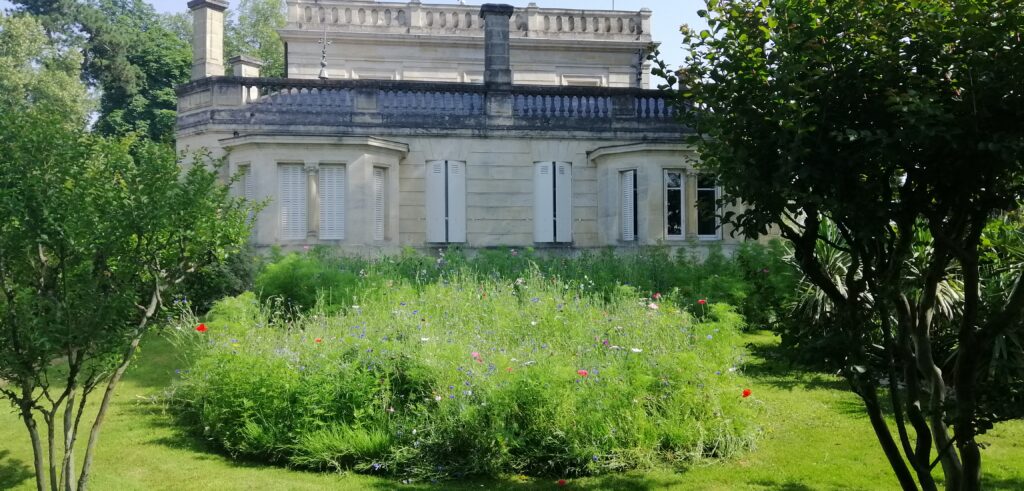 Paysagiste à Pomerol - Prairie fleurie et fauche raisonnée à Libourne